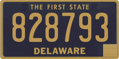 DE license plate 828793