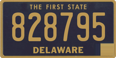 DE license plate 828795