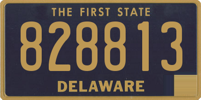 DE license plate 828813