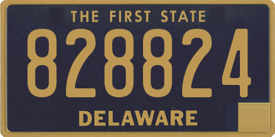 DE license plate 828824