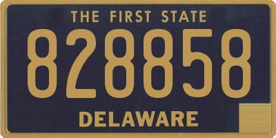 DE license plate 828858