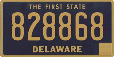 DE license plate 828868