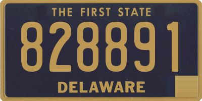 DE license plate 828891