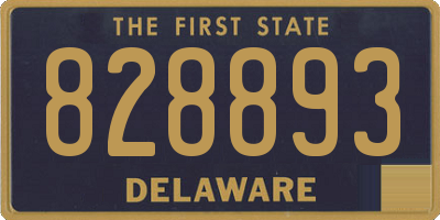 DE license plate 828893