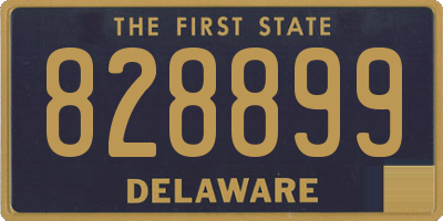 DE license plate 828899