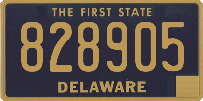 DE license plate 828905