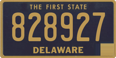 DE license plate 828927