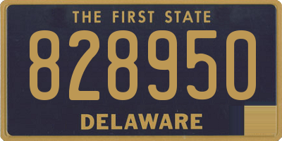 DE license plate 828950