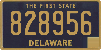 DE license plate 828956