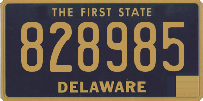 DE license plate 828985
