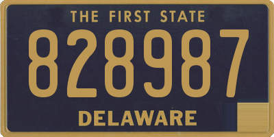 DE license plate 828987