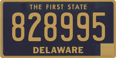DE license plate 828995
