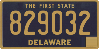 DE license plate 829032