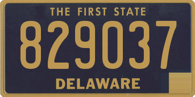 DE license plate 829037