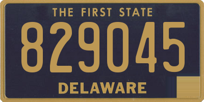 DE license plate 829045