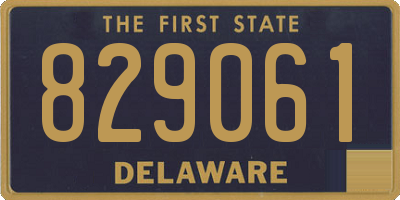 DE license plate 829061