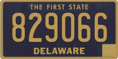 DE license plate 829066