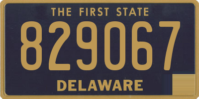 DE license plate 829067