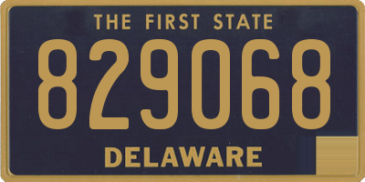 DE license plate 829068
