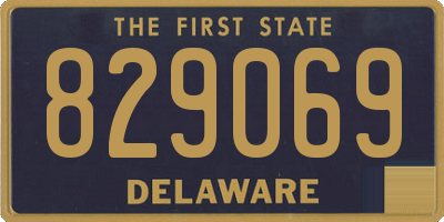 DE license plate 829069