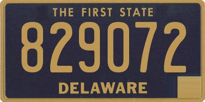 DE license plate 829072