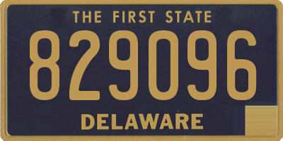 DE license plate 829096