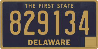 DE license plate 829134