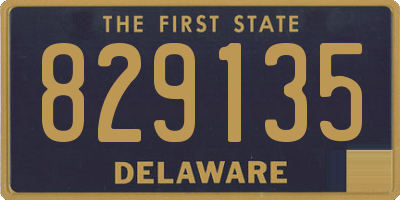 DE license plate 829135