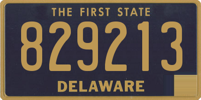DE license plate 829213