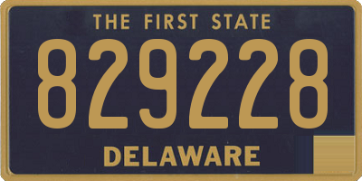 DE license plate 829228