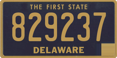 DE license plate 829237