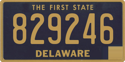 DE license plate 829246