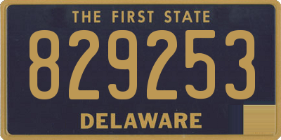 DE license plate 829253