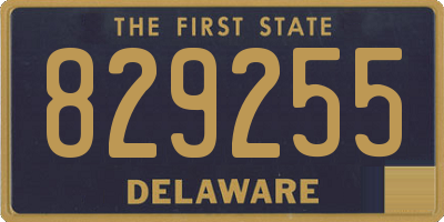 DE license plate 829255