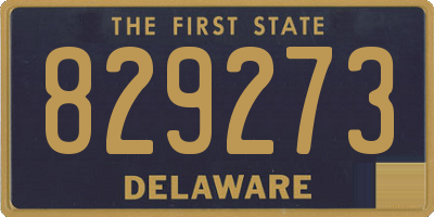 DE license plate 829273