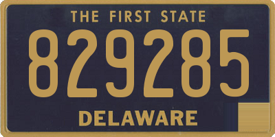 DE license plate 829285