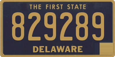 DE license plate 829289