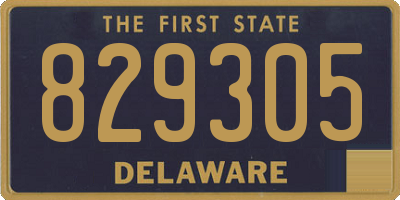 DE license plate 829305
