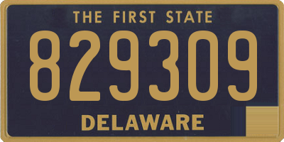 DE license plate 829309