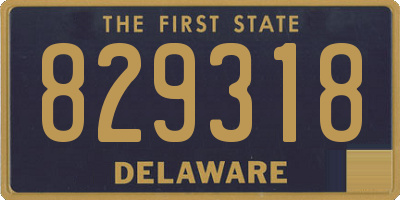 DE license plate 829318