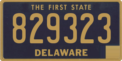 DE license plate 829323