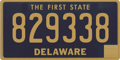 DE license plate 829338