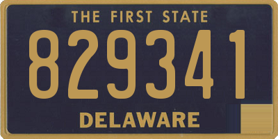 DE license plate 829341