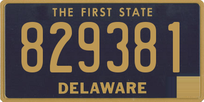 DE license plate 829381