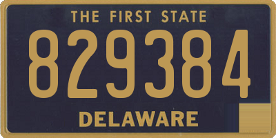 DE license plate 829384
