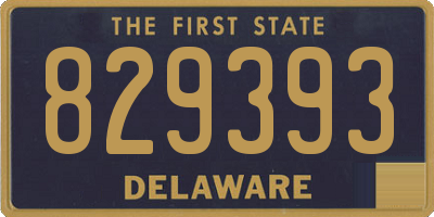 DE license plate 829393