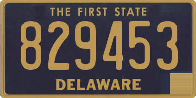 DE license plate 829453