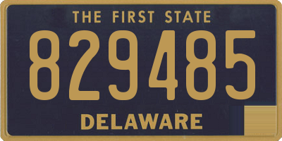 DE license plate 829485