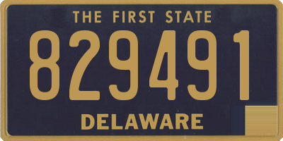DE license plate 829491
