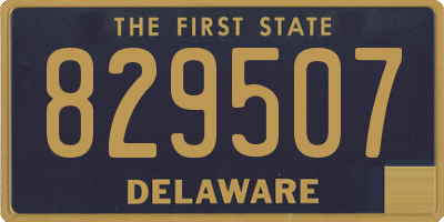 DE license plate 829507